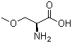 CAS 登录号：32620-11-4, (S)-2-氨基-3-甲氧基丙酸, L-O-甲基丝氨酸