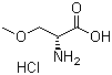 CAS 登录号：86118-10-7, (R)-2-氨基-3-甲氧基丙酸盐酸盐