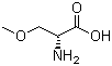 CAS 登录号：86118-11-8, (R)-2-氨基-3-甲氧基丙酸, D-O-甲基丝氨酸